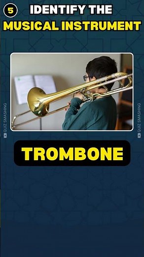 Guess The Musical Instrument - How good are you?