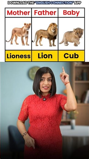 Animal Family Vocabulary 🐾 | Male, Female & Their Babies' Names | English Connection EC #shorts