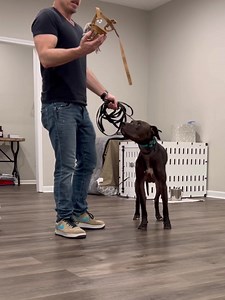 85 reactions | The safety protocols/systems you build and make...