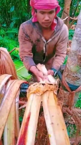 Inspiring Moments of Dedication and Mechanical Precision