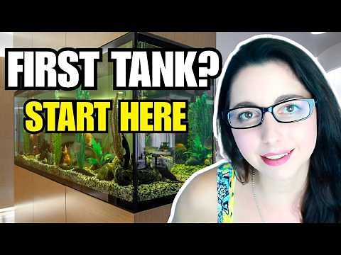 Setting up Your First Fish Tank🐟Ultimate Aquarium Beginner Guide