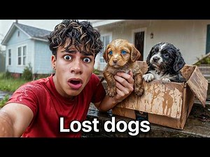 I Found Puppies at our Door..
