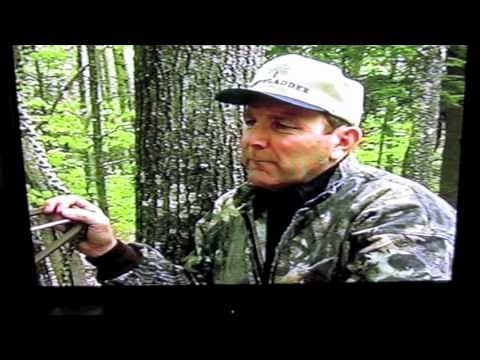 Stepp ladder...best tree climbing system in the world sir