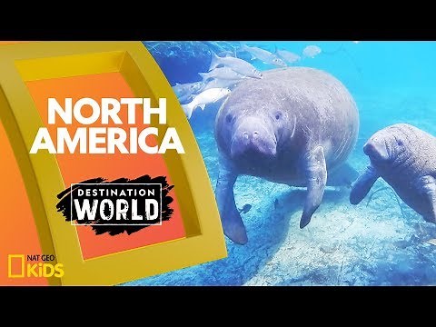 North America | Destination World