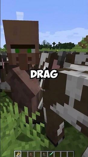 Easily Move Villagers With This Trick!
