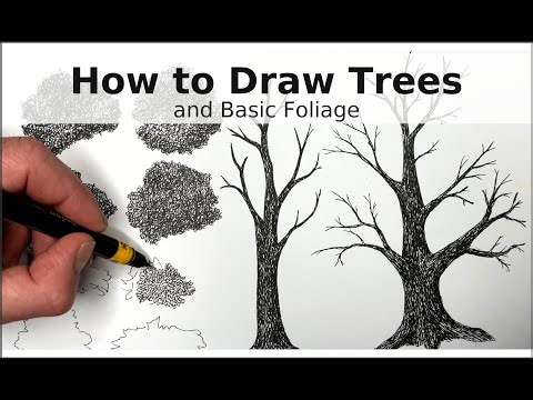 How to Draw Trees in Pen and Ink | Trunks, Branches, Bark & Foliage Techniques