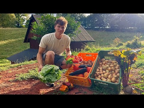 Life in the Countryside – 20 Peaceful Days of Farming