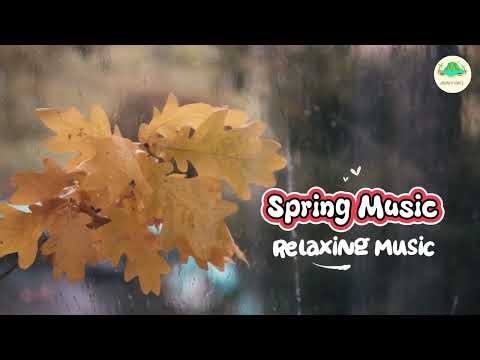 Spring Meditation Music