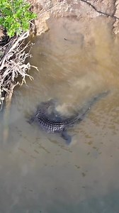 669K views · 3.4K reactions | You know you’re a celeb when you...