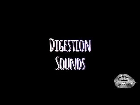 Belly Digestion Sounds