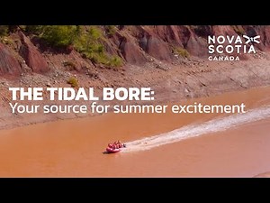 The Tidal Bore: Your Source for Summer Excitement