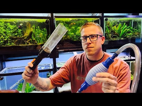 How to: Clean Aquarium Without Removing Fish
