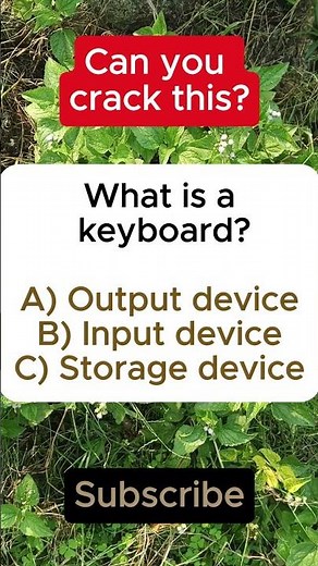Keyboard: Input or Output Device? ⌨️ | IQ VistaX #iqvistax #education #didyouknow #learning #viral
