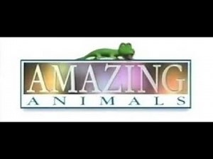 Amazing Animals Tropical Birds S01E01