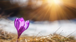 When is spring break 2024? Mark your calendars