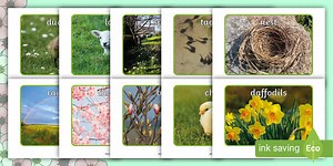 Spring Display Photos