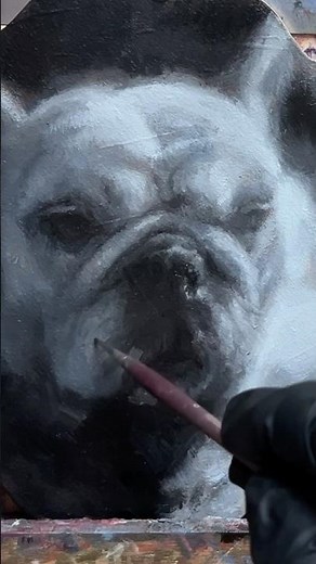 How to Paint Shadows and Light-Giant French Bulldog Portrait