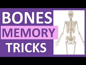 How to Identify Human Bones