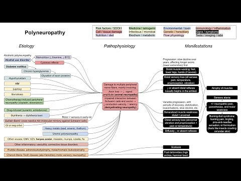 Polyneuropathy, axonal and demyelinating neuropathies (mechanism of disease)