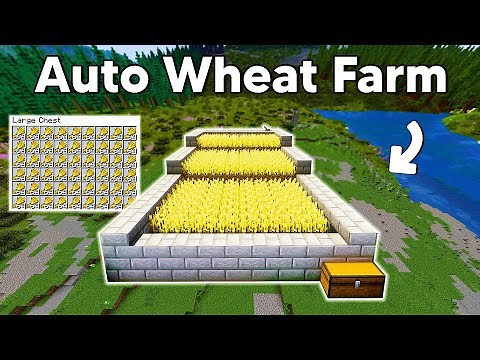How to Make an AUTOMATIC Wheat Farm in Minecraft 1.21!