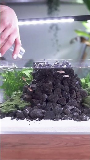 Making a Volcano Fish Tank 🌋