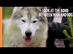 Man's best friend - A closer look at the bond between man and dog | Full Documentary