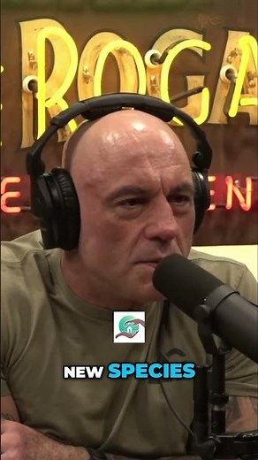 Identifying Psilocybin Mushrooms: A Citizen Science Guide