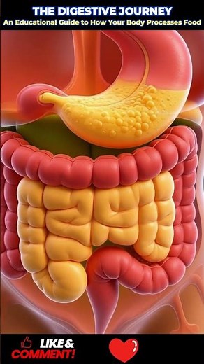 #DigestiveSystem #HumanAnatomy #EducationalVideo