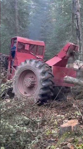 Timberjack 230 with 353 Detroit #skidder #detroitdiesel #timberjack #shortvideo