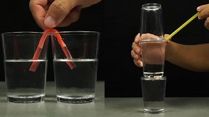 Creative Science Fair Ideas Sparking Curiosity and Fun