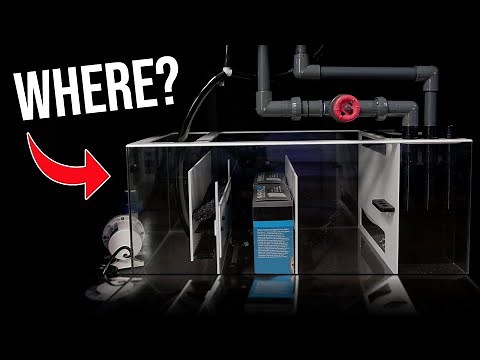 Reef Aquarium Sump Design and Placement
