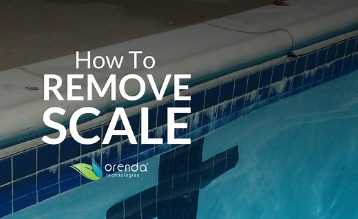 How to Soften and Remove Scale in a Swimming Pool or Spa