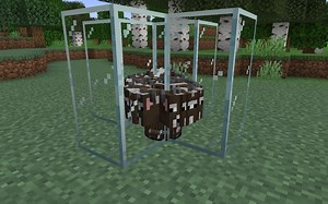How to use entity cramming for farms in Minecraft