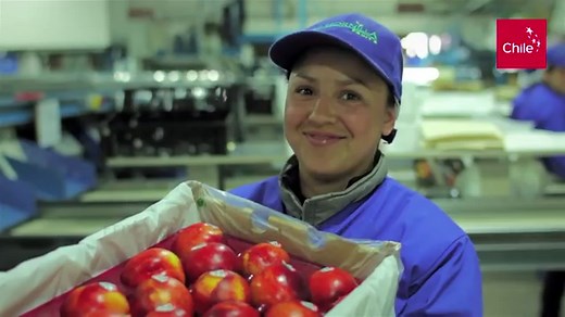 Life in Chile: an expat guide to moving to Chile