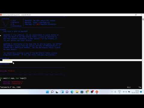 Print "Hello World" using OpenFOAM.