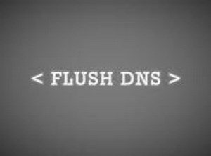 How to Flush the DNS in an Android Phone