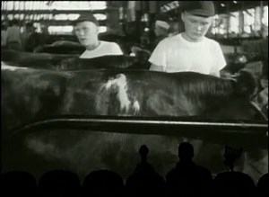 MST3K: Code Name: Diamond Head