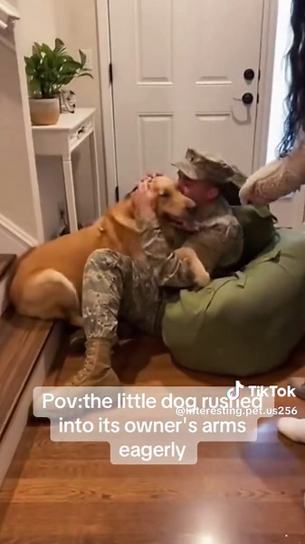 My dog reunited with me, his soldier owner! 🐕🎖️😭#DogReunion #MilitaryDog #HomecomingPet #TearfulReunion #manbestfriend