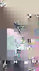 1.4M views · 45K reactions | Flower Parade 2023  Bloemencorso Bollenstreek | Tulip Festival Amsterdam | Facebook