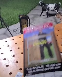 Let's build a gate in 60 seconds! It's that easy. But seriously, it was pretty darn easy and this gate frame can be adjusted for settling & sag. Model seen here is most entry level consumer model. Better professional models available and larger dual gate swing models available. Adjust-a-gate: AG72LTP-ZR0110 Price: ~$47 Picked this up at Home Depot Features: 2-rail Adjust-A-Gate kit, consumer series, for openings of 36 in., 72 in. W, 48 in. H frame for 4 ft., 5 ft. and 6 ft. high fences Use for w