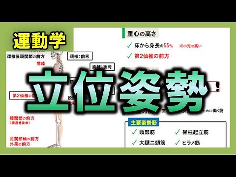 【運動学】立位姿勢（重心・抗重力筋）