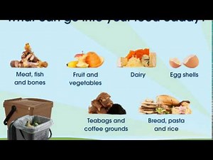 Food Waste Animation