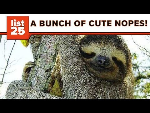 25 Creepiest Animals You Won’t Believe Actually Exist