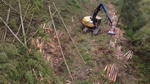 2.5K views · 36 reactions |  Our Tigercat LH845C makes light work of processing the trees that have been felled down to it  . #dsmtimberltd #dwilsontimber #forestry #forestmachines #tigercatlh845c #responsibleforestry #TimberHarvesting #timber #livingthedream | D Wilson Timber | Facebook