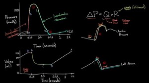 Left ventricular volume vs. time
