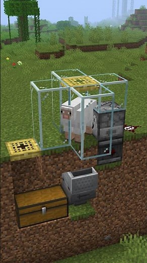 Easiest Automatic WOOL Farm Minecraft Java & Bedrock #minecraft #shorts #ytshorts