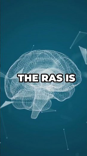 The Reticular Activating System Explained #brain #neuroscience #ras ##reticularactivatingsystem
