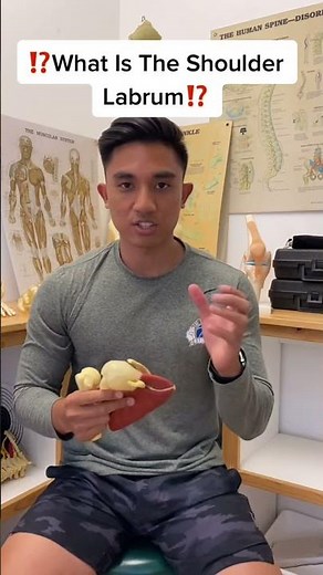 Shoulder Labrum Explained