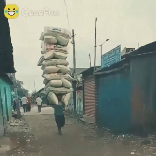 8.8M views · 256K reactions | Top trending amazing, funny coco #16 藍 | Coco Fun | Facebook