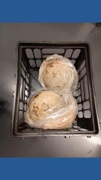 Castine's Cannonball Conundrum